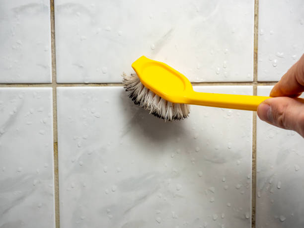 Best Professional Mold Removal  in Moundville, AL