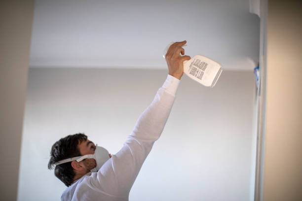 Best Mold Removal Company Near Me  in Moundville, AL