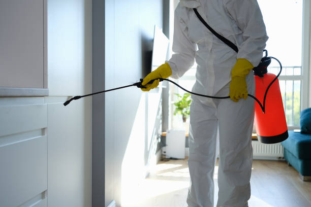Best Home Mold Removal  in Moundville, AL