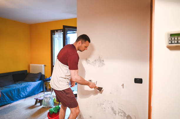 Best Attic Mold Removal  in Moundville, AL