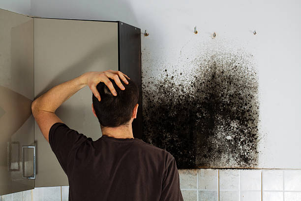 Best Crawl Space Mold Removal  in Moundville, AL